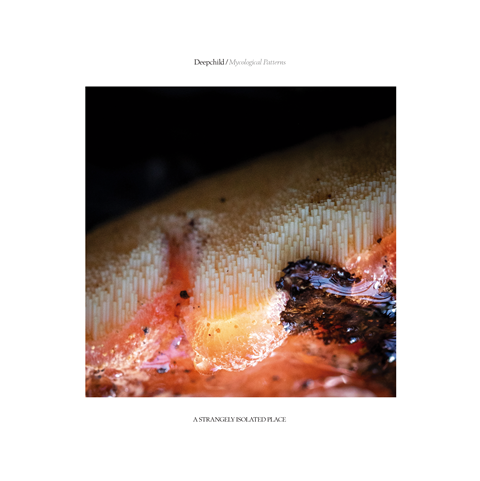 04/11/2022
New album: Deepchild "Mycological Patterns"